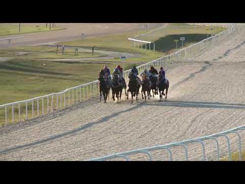 2018.09.30. 08. futam - "ÁRVÍZI HAJÓS" HENDIKEP (IV.o.) (szintetikus pálya)