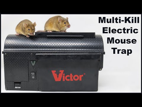 The Victor Multi-Kill Electric Mousetrap - Full Review. Mousetrap Monday