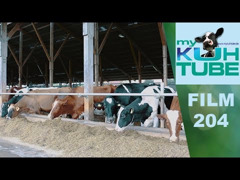, title : 'Gibt es „die Beste“ Kuhrasse für die Milchproduktion? - My KuhTube Film 204'