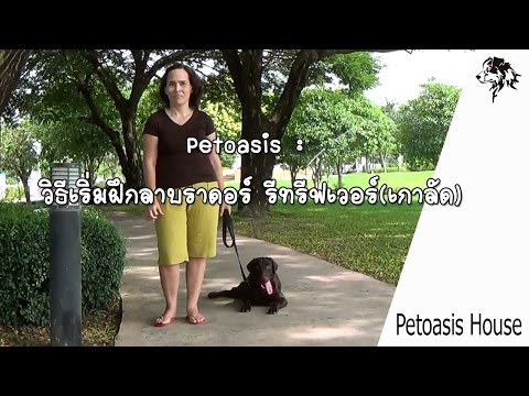 เรดอนโรคสะเก็ดเงิน กลากสิวบนใบหน้า