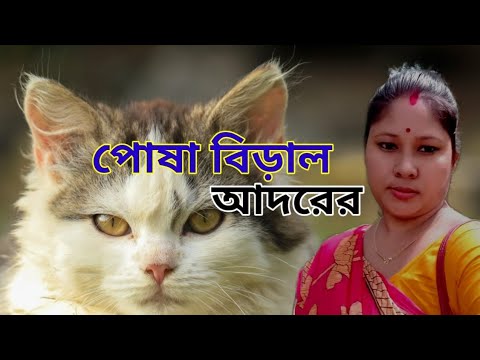 Is it beneficial or harmful to keep a cat? || Complete analysis and real experience