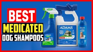 ✅Top 5 Best Medicated Dog Shampoos 2026
