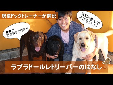 ラブラドルレトリバーの色