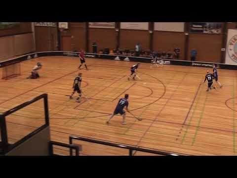 Maalikooste Tiikerit - SCH