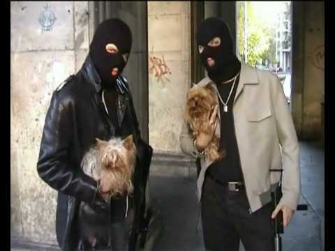 JASNA LIRYKA - ZANURZANIE