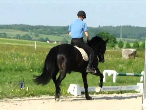 Silberschmied - Rohdiamant StPrA Sweet Kiss 3 y.