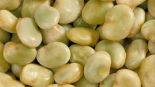 Dr Kucho &amp; Gregor Salto - Tonight