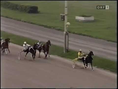 Preis der Stadt Wien 1993