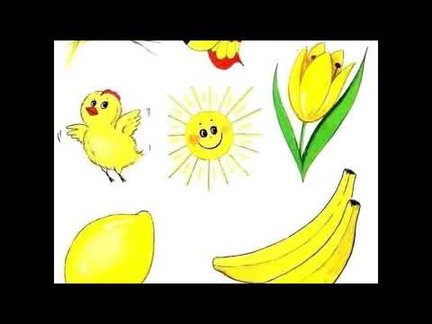 Alimentația corectă