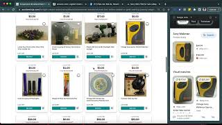 I found some FLIPS on the AuctionNinja online estate sale website, use Google Lens in Chrome Browser