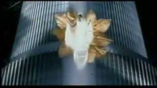 eternal grace C-BLOCK