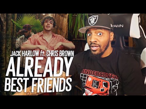 WE LIKE THOSE! | Jack Harlow - Already Best Friends feat. Chris Brown  (REACTION!!!)