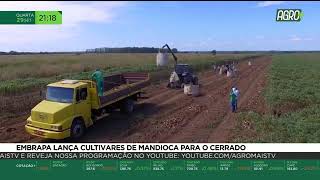 Miniatura do vídeo