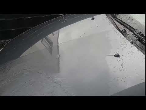 Sheeting Neowax No.1 2 months after application