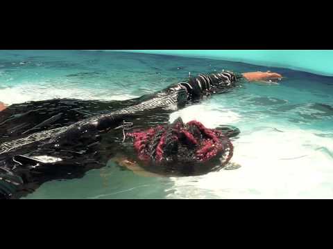 BIZNESS - Yago de la 30 x Fosi B [Official video]