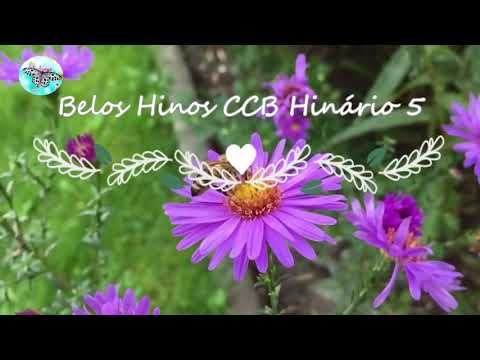 Hino 178 A palavra preciosa