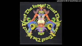 The Insect Trust - Mountain Song