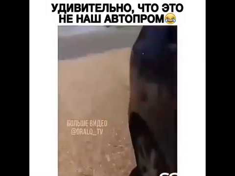 Что то не то открылось