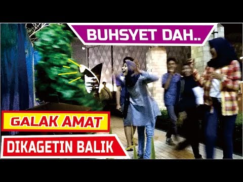 histeria-bushman-prank-java-heritage-hotel-purwokerto-prank-manusia-pohon