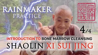 Introduction to Xi Sui Jing (4/4) ⛈️ Form Demonstration ⛈️