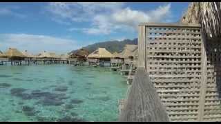 preview picture of video 'Hilton Moorea Overwater Bungalow Panoramic'