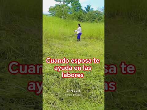 mujeres de Orellana Ecuador #loreto #yosoydelos7mil