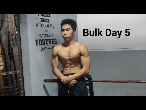 Winter Bulk Day 5 (Chest and Triceps)