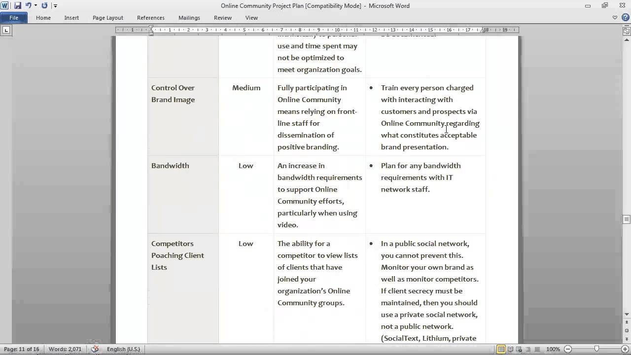 Online Community Project Plan