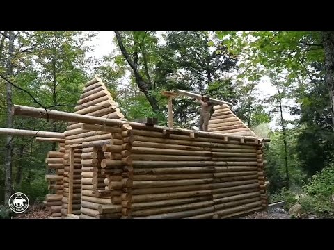With bare hands: Canadian builds house in the wilderness