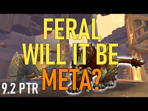 FERAL DRUID 9.2 PTR TIER SET REVIEW - FULLY EXPLAINED - IS IT ANY GOOD?
