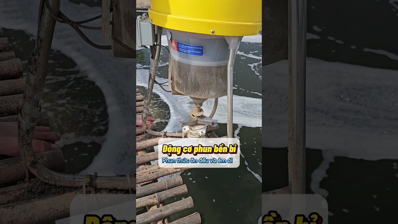 Bí kíp cho tôm ăn không mệt - Với máy cho ăn Farmext Feeder #farmext #farmextbase #tôm #thuysan