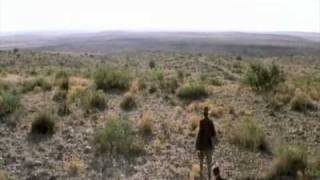 ZZEBRAA Enjoy the silence