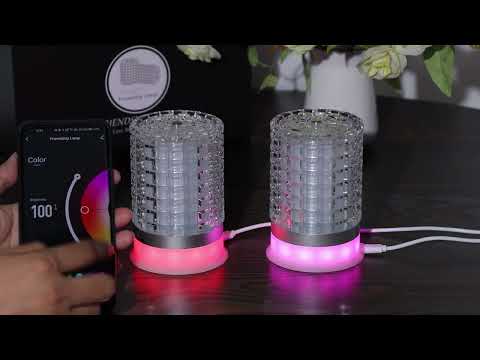 NISHEN Friendship Lamps