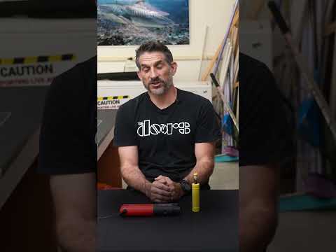 Some great white sharks hang out together. #FIU #sharkfest