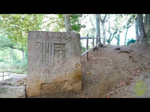 Piera a vista d'ocell