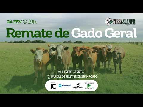REMATE DE GADO GERAL | CERRITO - PARQUE CRISTIAN PORTO |  TERRA&CAMPO NEGÓCIOS RURAIS.