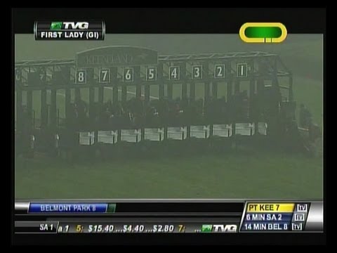 2013 First Lady Stakes - Better Lucky