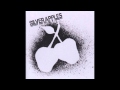 Silver Apples - Dust
