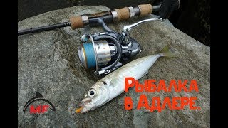Рыбалка в адлере