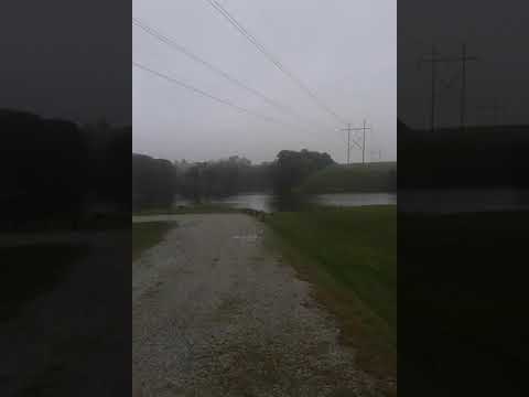 Tree'd lake on the other side of the road should make for some fun paddling and gret fishing.