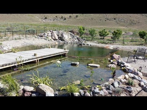 Natural Swimming Pool Construction (Part 1)