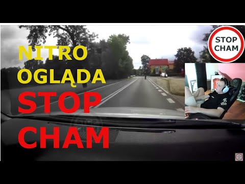 NITRO ogląda STOP CHAM i SZALONEGO KIEROWCE Z ANGLII
