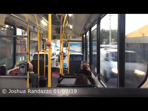 Transit Systems Sydney 2464 ST - Scania K280UB (ZF Ecomat)