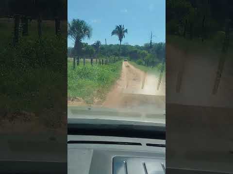 luga lindo palmeira do Piauí