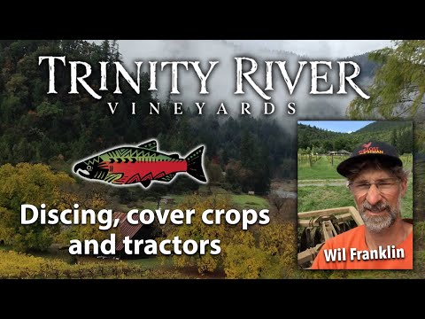 Winemaking 101: Turning up the VIGOR for FARM to TABLE WINES