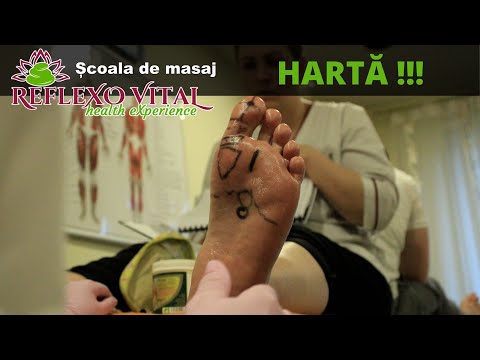 Reflexoterapie curs - Harta glandelor din talpă