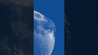 Download lagu Have you ever seen a creature on the moon? #shorts #creature #moon mp3