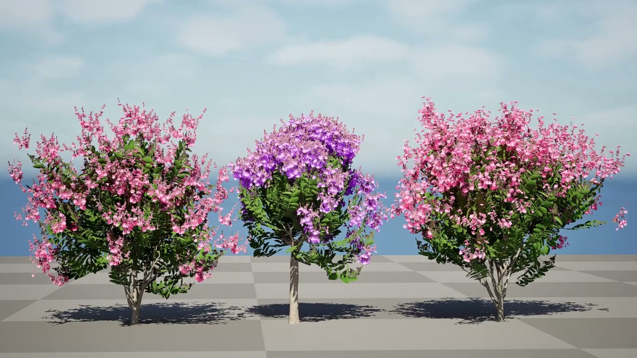 Indien Lagerstroemia Speciosa Baum Kleine Art 3D Modell