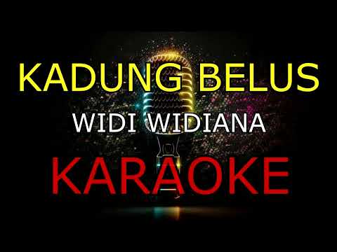 KADUNG BELUS_WIDI WIDIANA_KARAOKE🎤