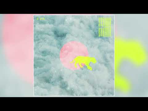 Animal Island - "Chasing Stars" (Official Audio)